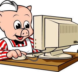 Mr Pig at computer